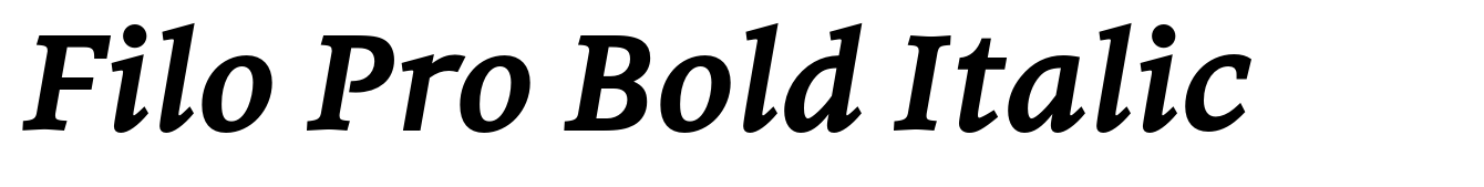 Filo Pro Bold Italic